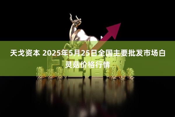 天戈资本 2025年5月25日全国主要批发市场白灵菇价格行情
