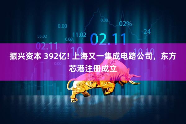 振兴资本 392亿! 上海又一集成电路公司，东方芯港注册成立