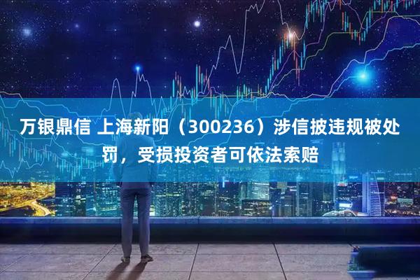 万银鼎信 上海新阳(300236)涉信披违规被处罚,受损投资者可依法索赔