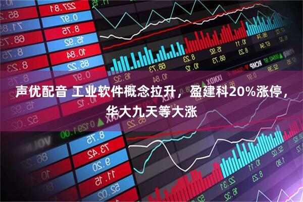 声优配音 工业软件概念拉升，盈建科20%涨停，华大九天等大涨